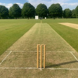 Tuesday, 14th June: The Racqueteers v the Willow Tree