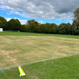 “All being put to sleep …”