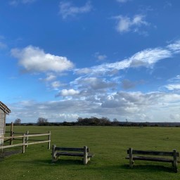 Don’t forget to view …