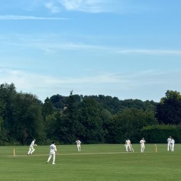 The Racqueteers v Arbour XI, Thursday, 18th July