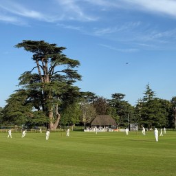 The Racqueteers v Goodwood Staff, Thursday, 18th June